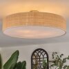 Foggia ceiling light matt nickel, 3-light sources