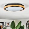 Coentral ceiling light, Panel LED white, 1-light source