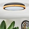 Coentral ceiling light, Panel LED white, 1-light source