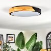 Cadaixo ceiling light, Panel LED white, 1-light source, Remote control