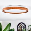 Sofo ceiling light, Panel LED white, 1-light source, Remote control