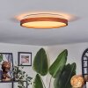 Sofo ceiling light, Panel LED white, 1-light source, Remote control