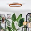 Sofo ceiling light, Panel LED white, 1-light source, Remote control