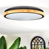 Coentral ceiling light, Panel LED white, 1-light source, Remote control