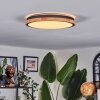 Coentral ceiling light, Panel LED white, 1-light source, Remote control