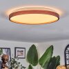 Sofo ceiling light, Panel LED white, 1-light source, Remote control