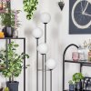 Gastor floor lamp 25 cm Light wood, black, 4-light sources