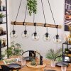 Ripoll hanging light, globe light, pendant light Ecru, black, 5-light sources