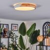 Cadaixo ceiling light, Panel LED white, 1-light source, Remote control