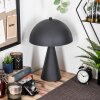 Mushroom Shaped  Nor floor lamp, path light Light wood, black, 1-light source