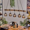 Ripoll hanging light, globe light, pendant light Smoke-coloured, 5-light sources