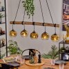 Ripoll hanging light, globe light, pendant light gold, clear, 5-light sources