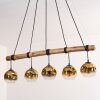 Ripoll hanging light, globe light, pendant light gold, clear, 5-light sources