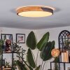 Cadaixo ceiling light, Panel LED white, 1-light source, Remote control