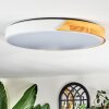 Cadaixo ceiling light, Panel LED white, 1-light source, Remote control