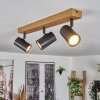 Gesteira ceiling light, wall light anthracite, coppery, 4-light sources, Remote control