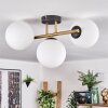 Gastor ceiling light, globe light 42 cm gold, black, 3-light sources