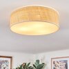 Antillo ceiling light white, 3-light sources