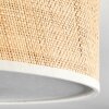 Antillo ceiling light white, 3-light sources