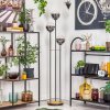 Gastor floor lamp 30 cm Dark wood, black, 3-light sources