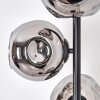 Ripoll floor lamp chrome, Smoke-coloured, 4-light sources