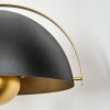 Guttsta ceiling light, floor lamp gold, black, 4-light sources