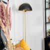 Guttsta ceiling light, floor lamp gold, black, 4-light sources