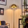 Guttsta floor lamp gold, 1-light source