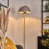 Guttsta ceiling light, floor lamp LED gold, black, 1-light source