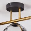 Gastor ceiling light, globe light 42 cm gold, black, 3-light sources