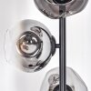 Ripoll floor lamp chrome, clear, Smoke-coloured, 4-light sources