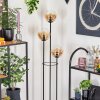 Gastor floor lamp 30 cm Dark wood, black, 3-light sources