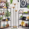 Gastor floor lamp 30 cm Dark wood, black, 3-light sources