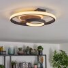 Hadel pendant light Ecru, black, 1-light source