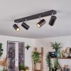 Gesteira ceiling light, ceiling spotlight chrome, black, 4-light sources