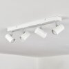 Gesteira ceiling light, ceiling spotlight chrome, white, 4-light sources