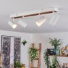 Gesteira ceiling light, hanging light, floor lamp Light wood, black, 4-light sources