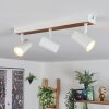 Gesteira ceiling light, ceiling spotlight Ecru, white, 3-light sources