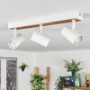 Gesteira ceiling light, ceiling spotlight Ecru, white, 3-light sources