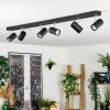 Gesteira ceiling light, ceiling spotlight chrome, black, 6-light sources