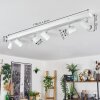 Gesteira ceiling light, ceiling spotlight chrome, white, 6-light sources