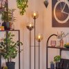 Koyoto floor lamp 30 cm Light wood, black, 3-light sources