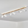 Gesteira ceiling light, ceiling spotlight Ecru, white, 6-light sources