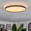 Sofo ceiling light LED black, 1-light source, Remote control