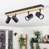 Gesteira ceiling light, ceiling spotlight Ecru, black, 4-light sources