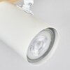 Gesteira ceiling light, ceiling spotlight Ecru, 4-light sources