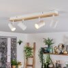 Gesteira ceiling light, ceiling spotlight Ecru, white, 4-light sources