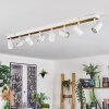 Gesteira ceiling light, ceiling spotlight Ecru, 8-light sources