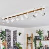 Gesteira ceiling light, ceiling spotlight Ecru, 8-light sources