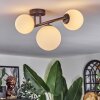 Chehalis ceiling light white, 3-light sources